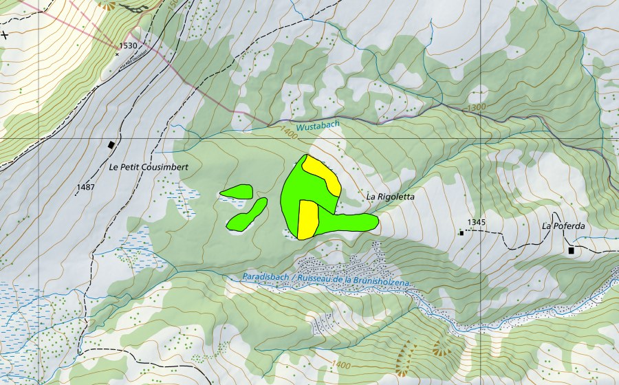 Landeskarte swisstopo mit dem Schutzperimeter von Rigeli (Hochmoor)