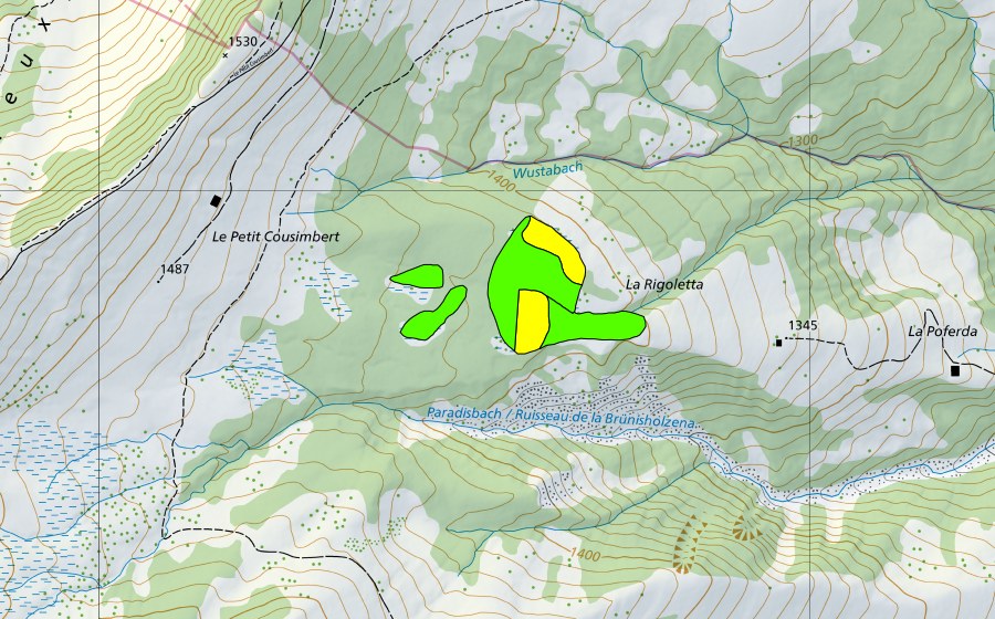 swisstopo national map showing the protected perimeter of Rigeli (Raised bog)