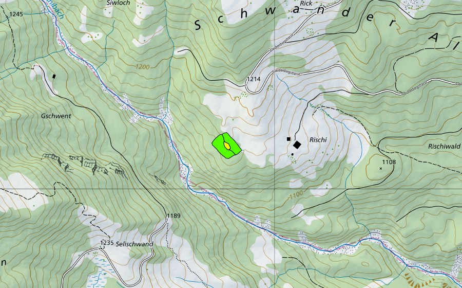 Landeskarte swisstopo mit dem Schutzperimeter von Rischi (Hochmoor)