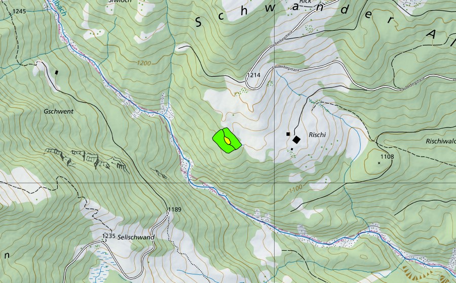 Landeskarte swisstopo mit dem Schutzperimeter von Rischi (Hochmoor)