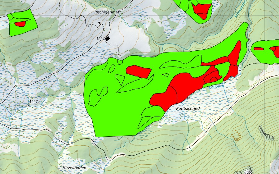 Landeskarte swisstopo mit dem Schutzperimeter von Rischigenmatt-Rotibach (Hochmoor)