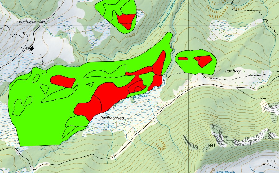 Landeskarte swisstopo mit dem Schutzperimeter von Rischigenmatt-Rotibach (Hochmoor)