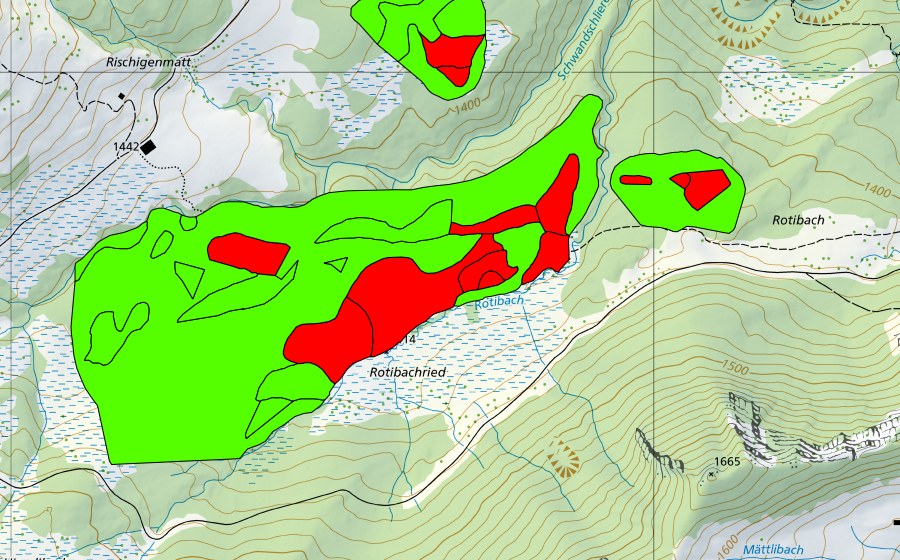 Landeskarte swisstopo mit dem Schutzperimeter von Rischigenmatt-Rotibach (Hochmoor)