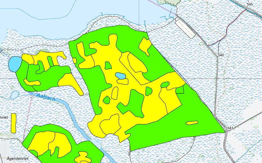 Carte nationale swisstopo avec le périmètre protégé de Robenhauseriet/Pfäffikersee (Haut-marais)