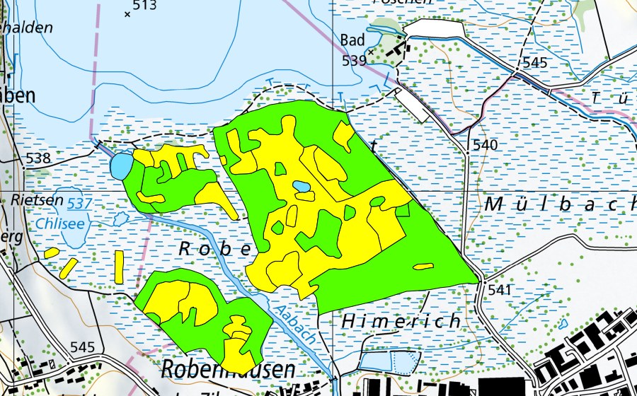 Carte nationale swisstopo avec le périmètre protégé de Robenhauseriet/Pfäffikersee (Haut-marais)