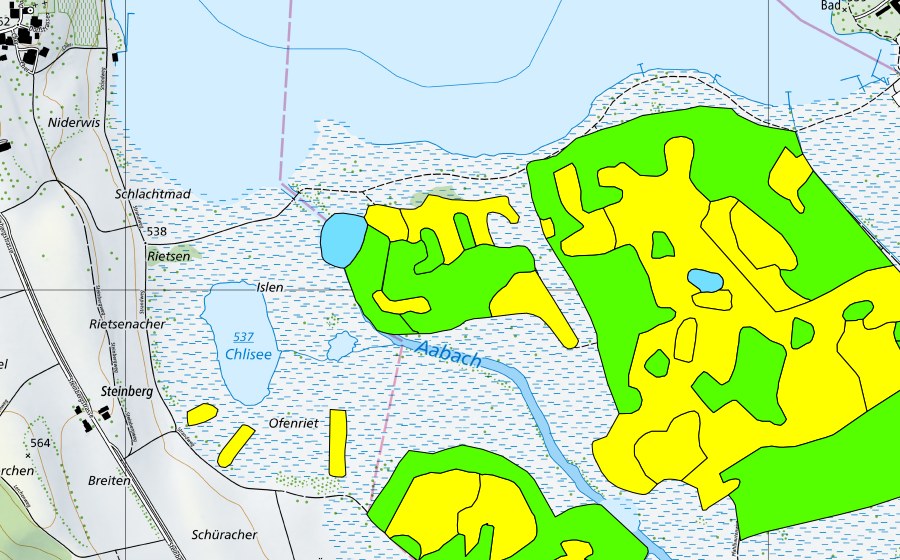 Landeskarte swisstopo mit dem Schutzperimeter von Robenhauseriet/Pfäffikersee (Hochmoor)