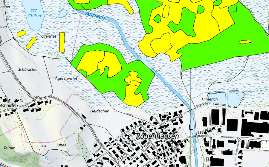 Landeskarte swisstopo mit dem Schutzperimeter von Robenhauseriet/Pfäffikersee (Hochmoor)