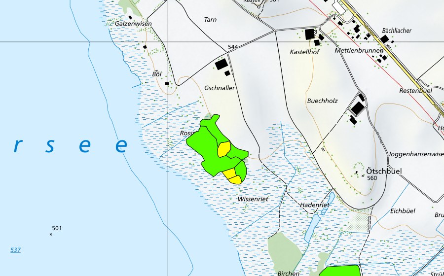 Carte nationale swisstopo avec le périmètre protégé de Robenhauseriet/Pfäffikersee (Haut-marais)