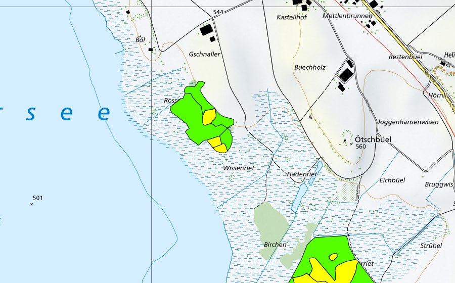 Carte nationale swisstopo avec le périmètre protégé de Robenhauseriet/Pfäffikersee (Haut-marais)