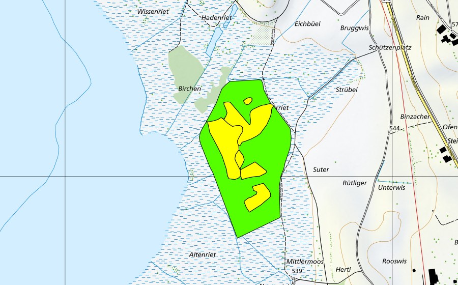 Carte nationale swisstopo avec le périmètre protégé de Robenhauseriet/Pfäffikersee (Haut-marais)