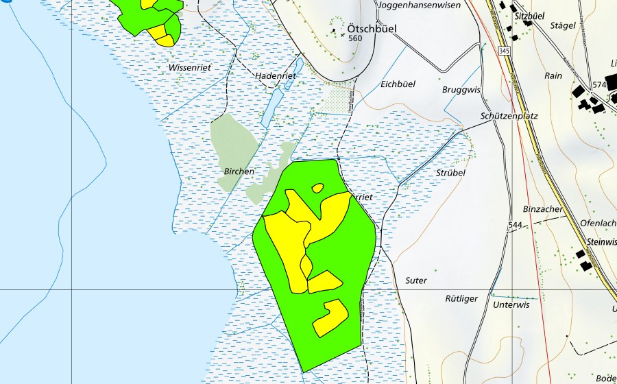 Carte nationale swisstopo avec le périmètre protégé de Robenhauseriet/Pfäffikersee (Haut-marais)