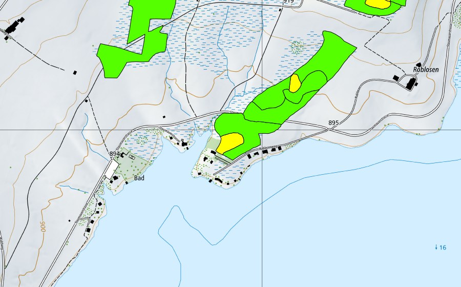 Carte nationale swisstopo avec le périmètre protégé de Roblosen (Haut-marais)