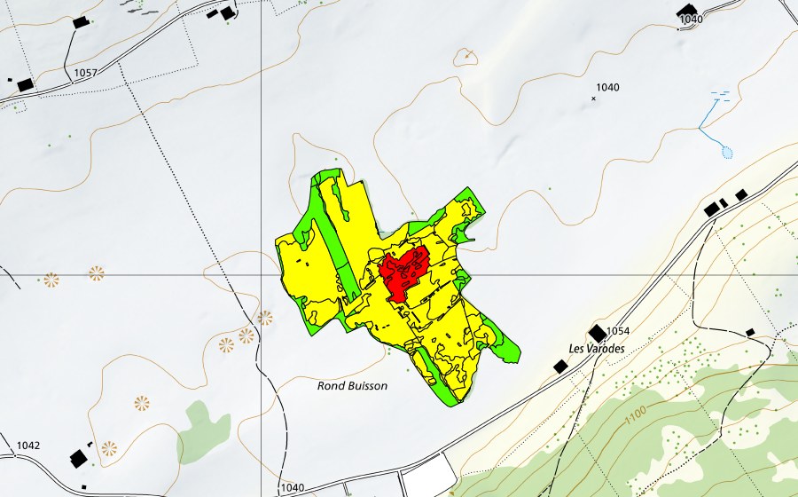 Landeskarte swisstopo mit dem Schutzperimeter von Rond Buisson (Hochmoor)