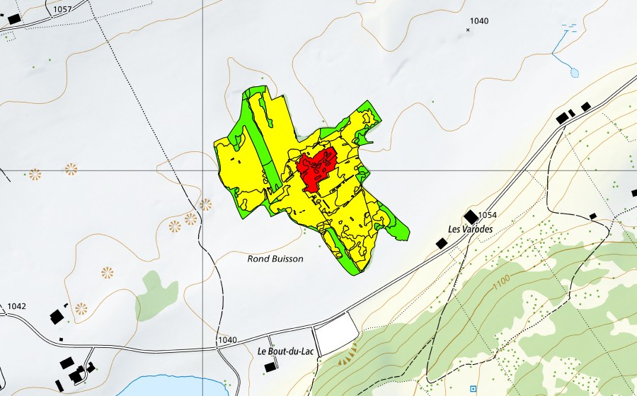 Carte nationale swisstopo avec le périmètre protégé de Rond Buisson (Haut-marais)