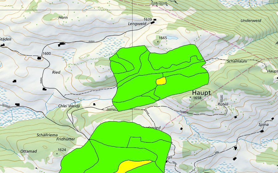 Carte nationale swisstopo avec le périmètre protégé de Rongg (Haut-marais)