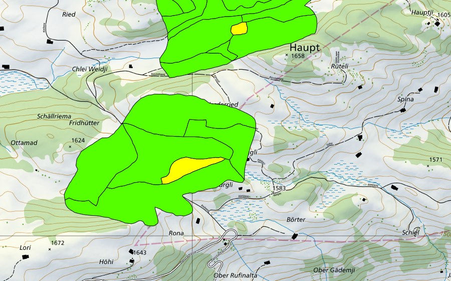 Landeskarte swisstopo mit dem Schutzperimeter von Rongg (Hochmoor)