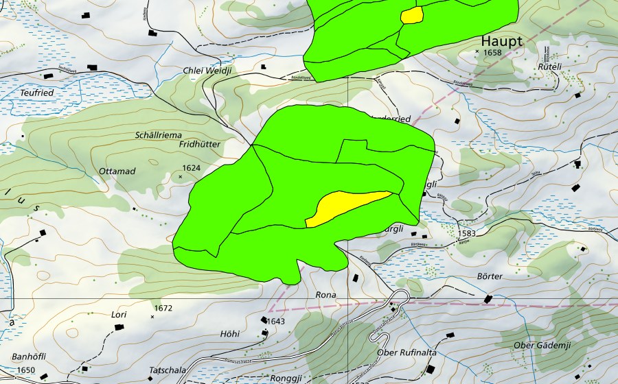 Landeskarte swisstopo mit dem Schutzperimeter von Rongg (Hochmoor)