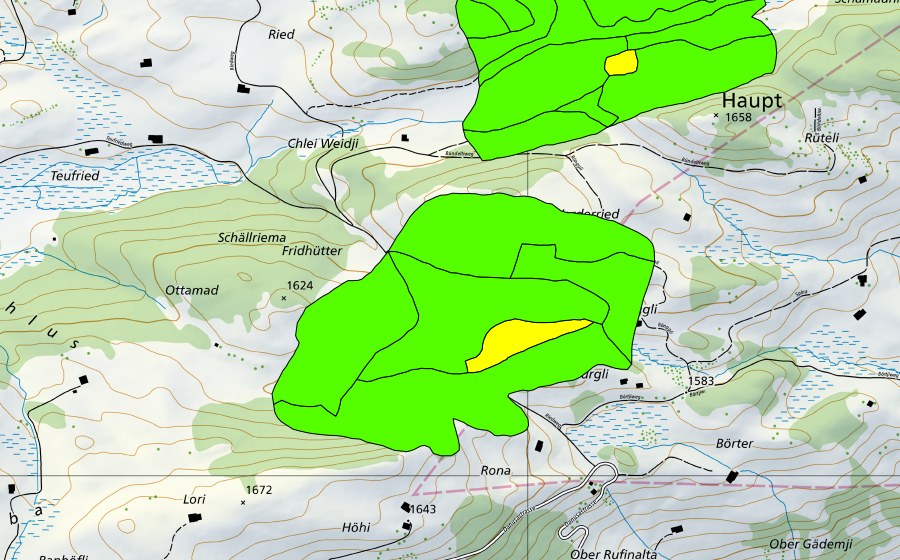 swisstopo national map showing the protected perimeter of Rongg (Raised bog)