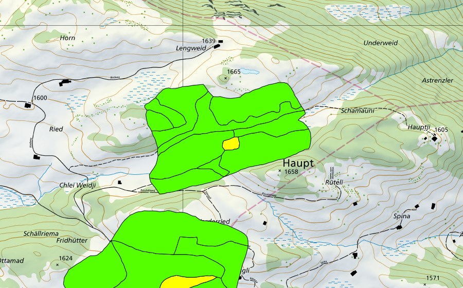 Carte nationale swisstopo avec le périmètre protégé de Rongg (Haut-marais)