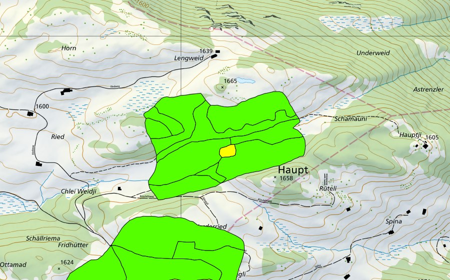 Landeskarte swisstopo mit dem Schutzperimeter von Rongg (Hochmoor)