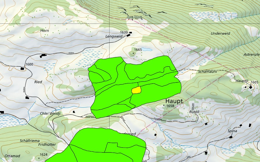 Carte nationale swisstopo avec le périmètre protégé de Rongg (Haut-marais)