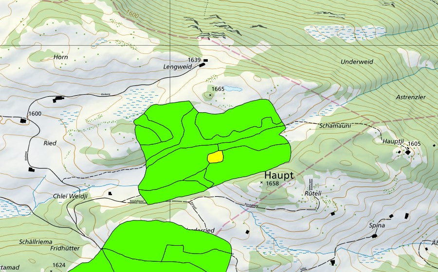 Landeskarte swisstopo mit dem Schutzperimeter von Rongg (Hochmoor)