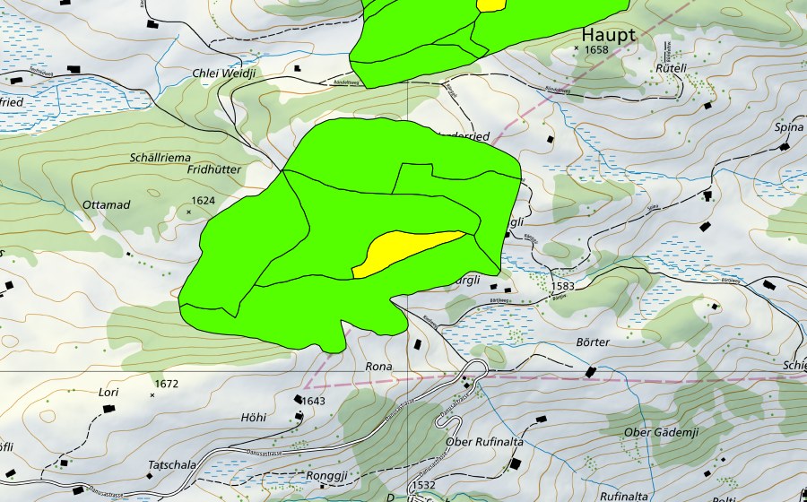 Landeskarte swisstopo mit dem Schutzperimeter von Rongg (Hochmoor)