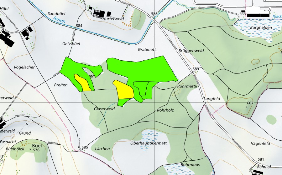 swisstopo national map showing the protected perimeter of Rorholz (Raised bog)