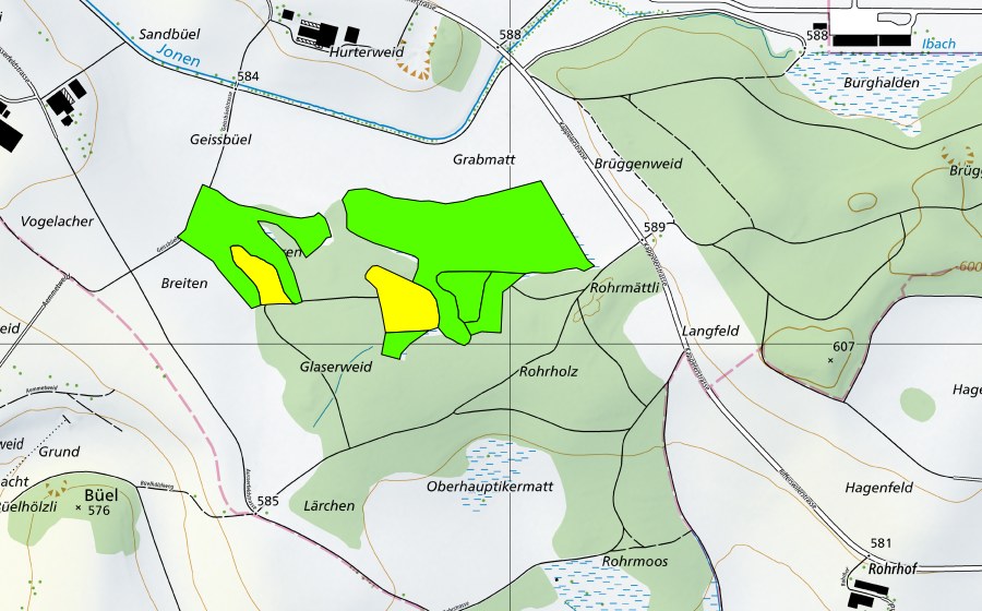 Landeskarte swisstopo mit dem Schutzperimeter von Rorholz (Hochmoor)