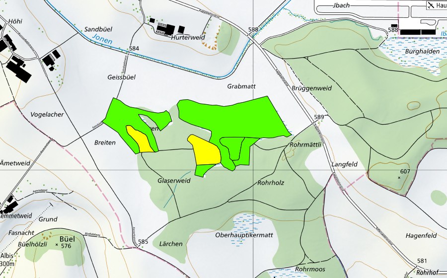 Landeskarte swisstopo mit dem Schutzperimeter von Rorholz (Hochmoor)