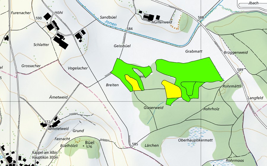 Carte nationale swisstopo avec le périmètre protégé de Rorholz (Haut-marais)