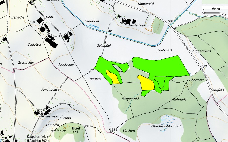 Carte nationale swisstopo avec le périmètre protégé de Rorholz (Haut-marais)