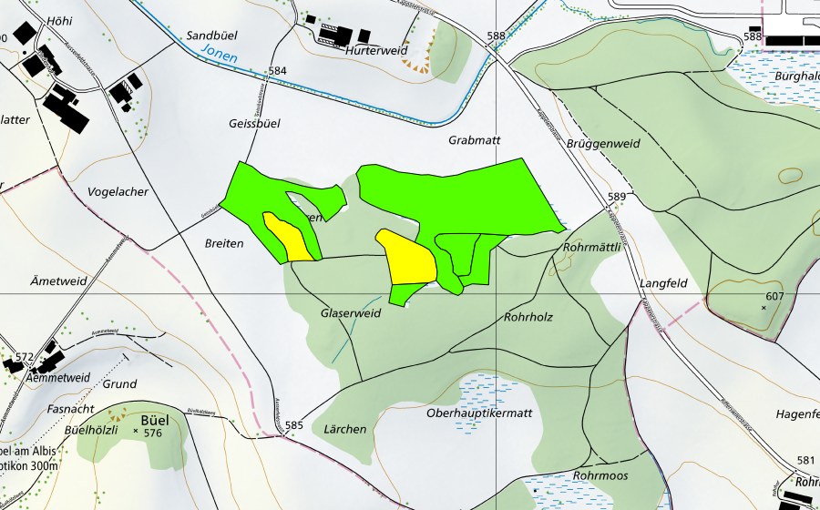 Carte nationale swisstopo avec le périmètre protégé de Rorholz (Haut-marais)