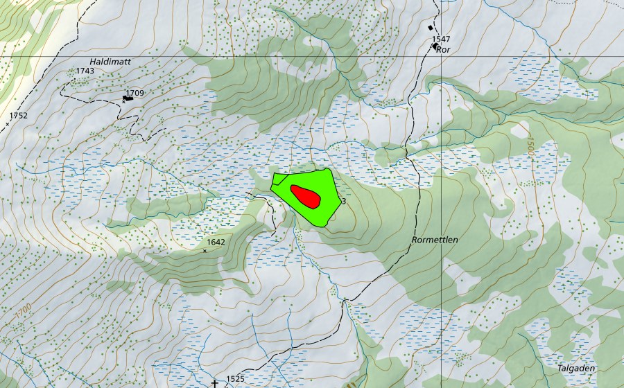 swisstopo national map showing the protected perimeter of Rormettlen (Raised bog)