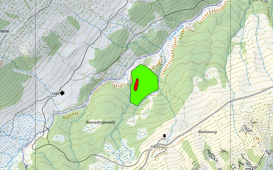 Landeskarte swisstopo mit dem Schutzperimeter von Rosswängenwald (Hochmoor)