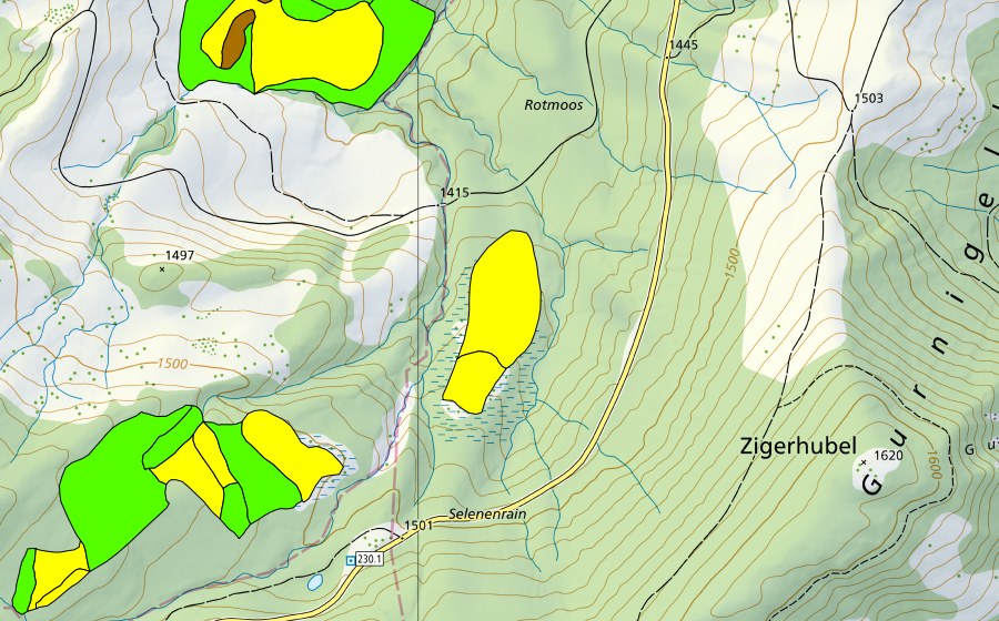 Carte nationale swisstopo avec le périmètre protégé de Rotmoos (Haut-marais)
