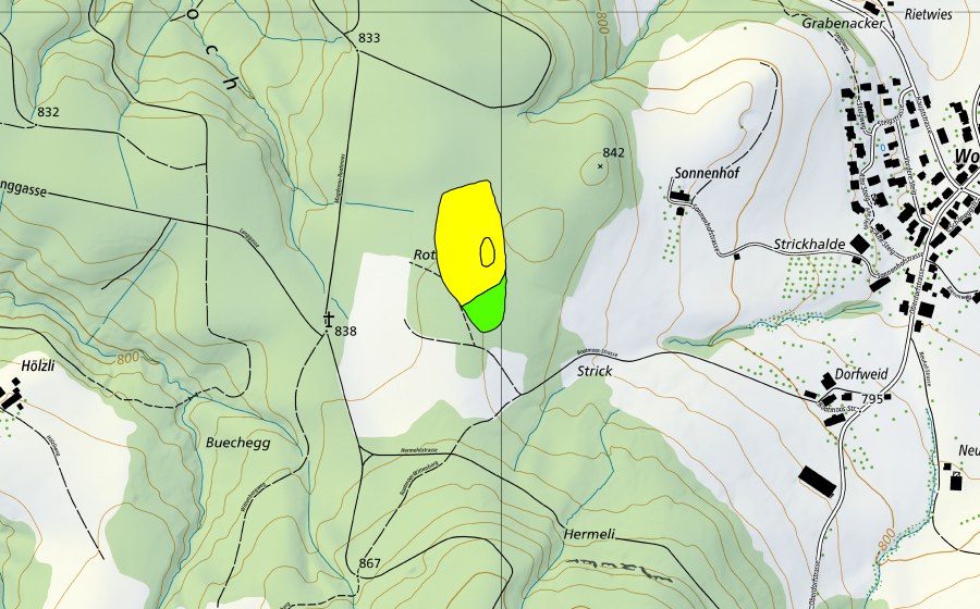 Landeskarte swisstopo mit dem Schutzperimeter von Rotmoos (Hochmoor)