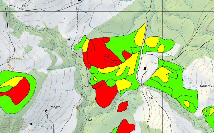 Landeskarte swisstopo mit dem Schutzperimeter von Rotmoos (Hochmoor)