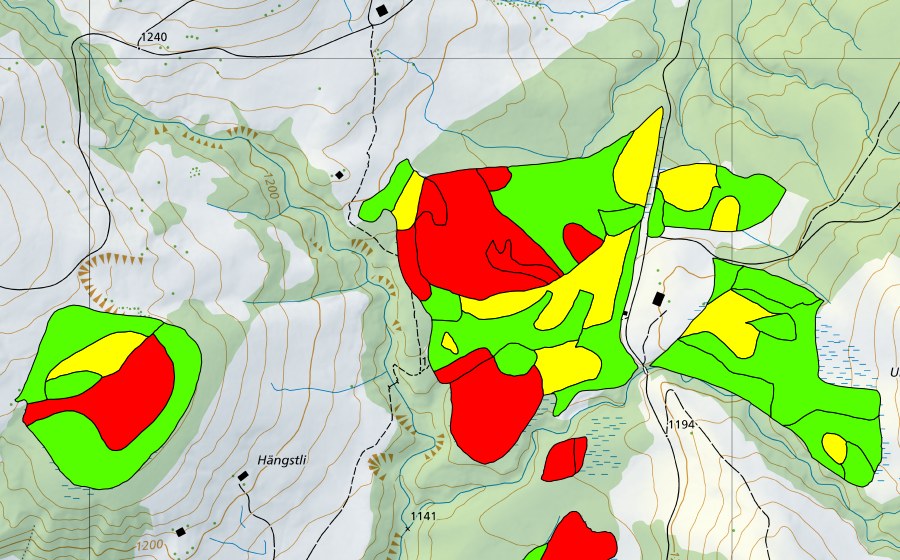 swisstopo national map showing the protected perimeter of Rotmoos (Raised bog)