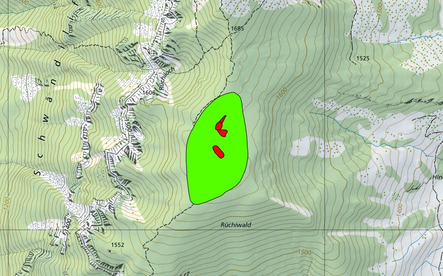 swisstopo national map showing the protected perimeter of Rüchiwald (Raised bog)