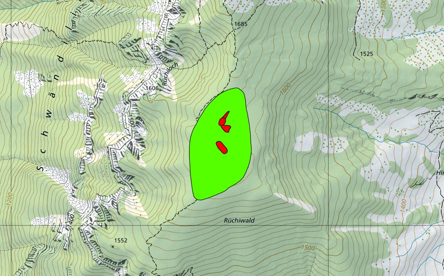 swisstopo national map showing the protected perimeter of Rüchiwald (Raised bog)