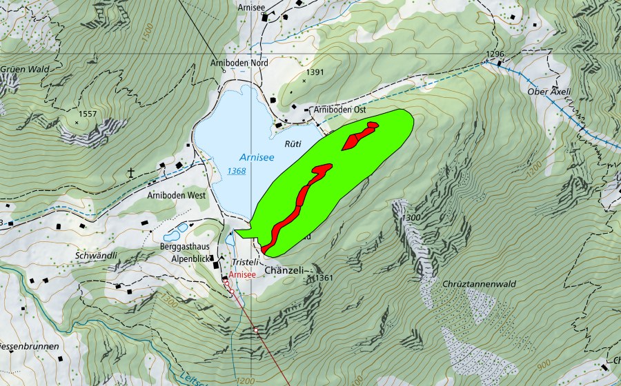 Carta nazionale swisstopo con il perimetro protetto di Rüti am Arnisee (Torbiera alta)