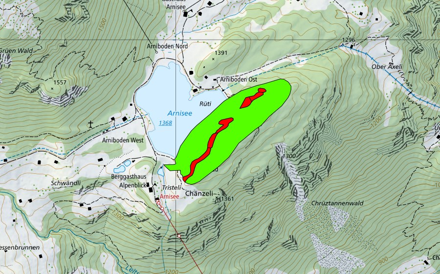 Landeskarte swisstopo mit dem Schutzperimeter von Rüti am Arnisee (Hochmoor)