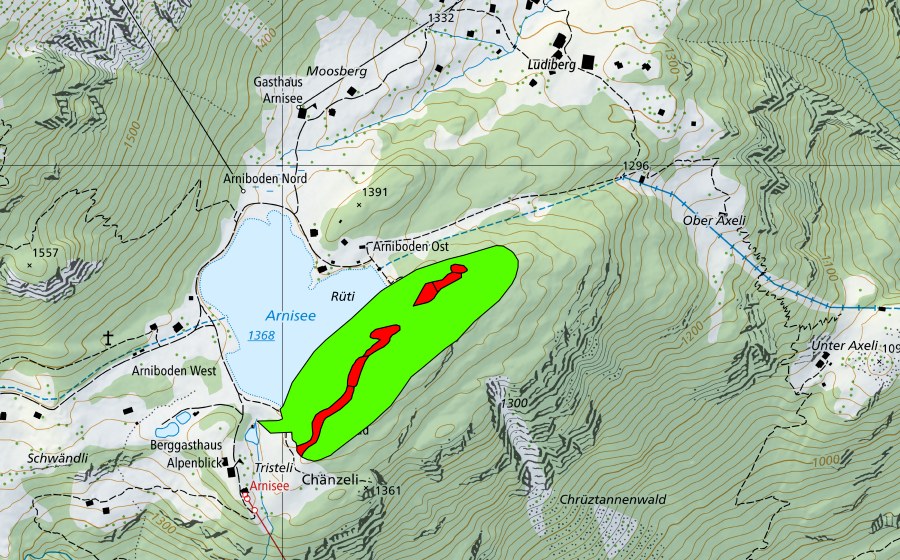 Carte nationale swisstopo avec le périmètre protégé de Rüti am Arnisee (Haut-marais)