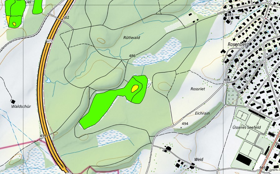 Carte nationale swisstopo avec le périmètre protégé de Rütiwald (Haut-marais)