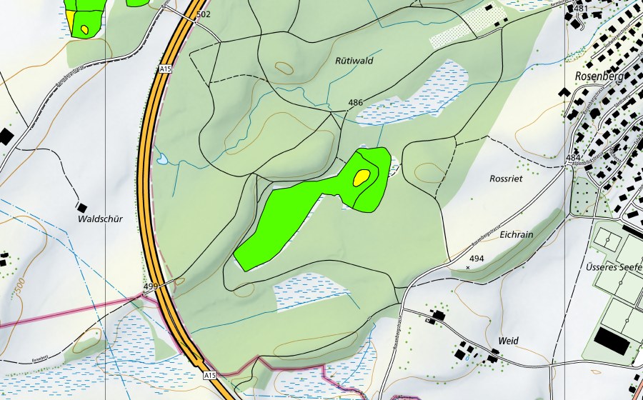 Carte nationale swisstopo avec le périmètre protégé de Rütiwald (Haut-marais)