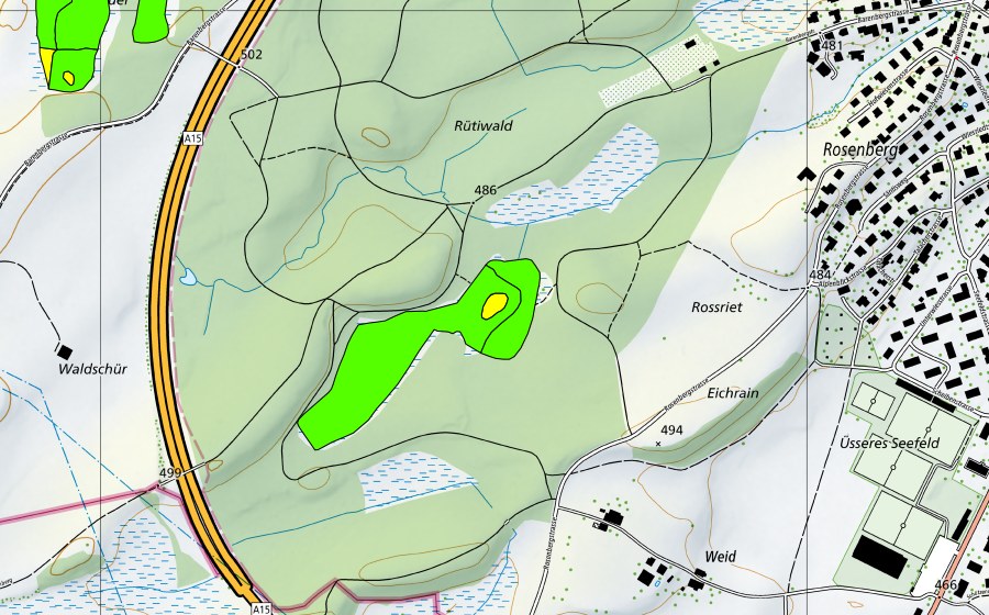 swisstopo national map showing the protected perimeter of Rütiwald (Raised bog)