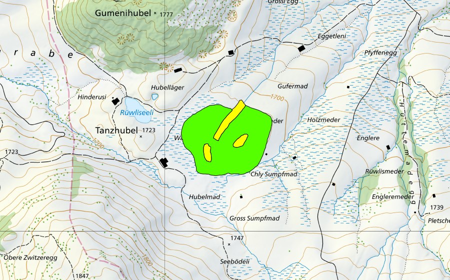 Landeskarte swisstopo mit dem Schutzperimeter von Rüwlispass (Hochmoor)