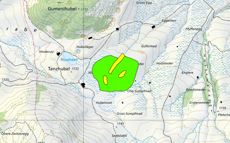Landeskarte swisstopo mit dem Schutzperimeter von Rüwlispass (Hochmoor)