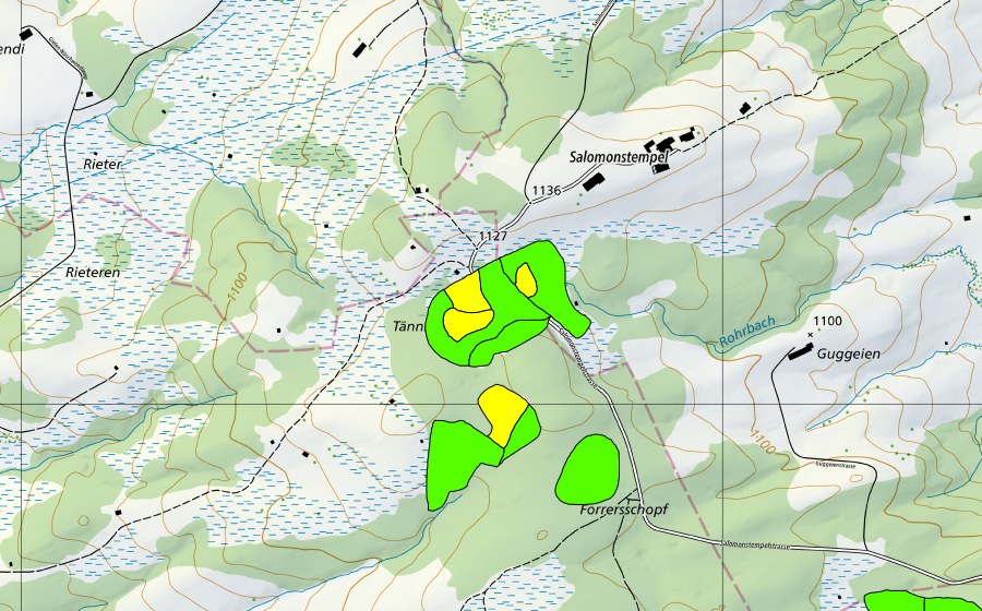 swisstopo national map showing the protected perimeter of Salomonstempel (Raised bog)